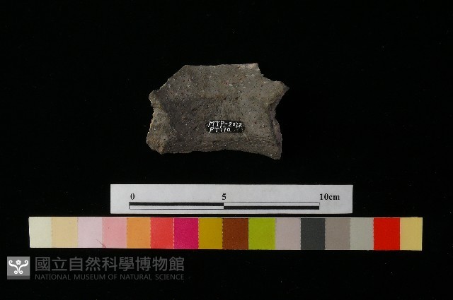 陶罐藏品圖，第3張