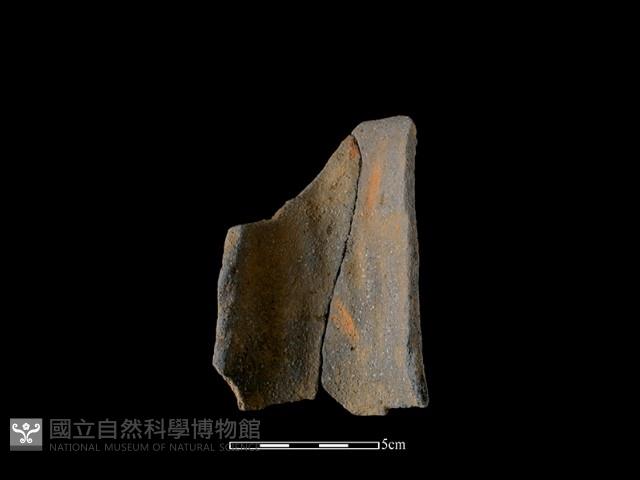 陶片藏品圖，第2張