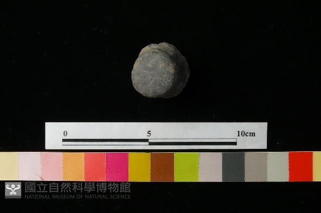 陶蓋藏品圖，第1張