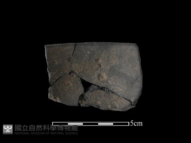 陶缽藏品圖，第1張