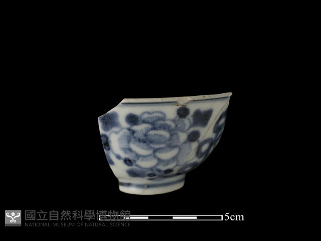 瓷杯藏品圖，第2張