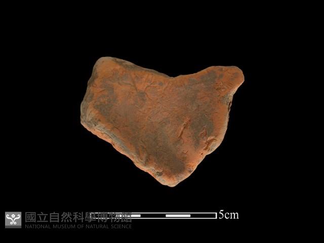 連杯形器藏品圖，第1張