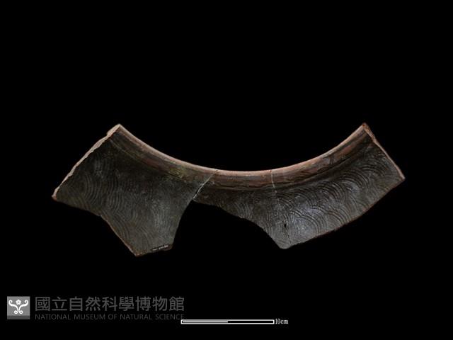 陶缸藏品圖，第3張