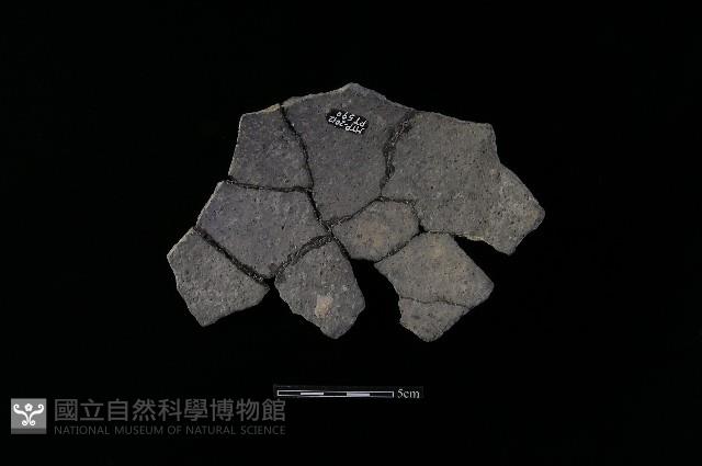 陶片藏品圖，第2張