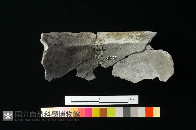 陶罐藏品圖，第1張