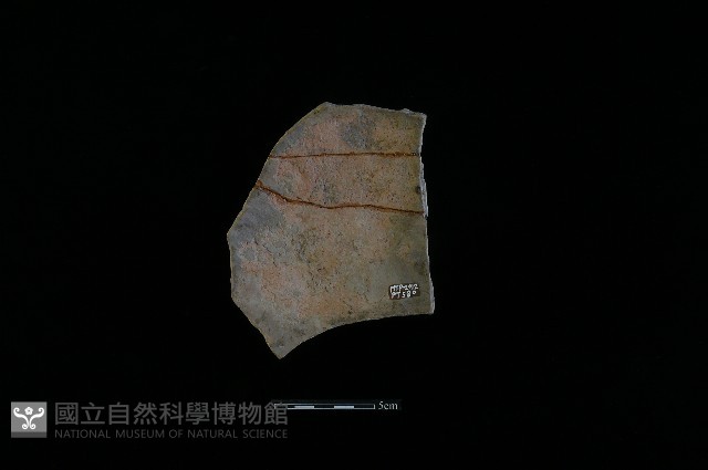 陶片藏品圖，第1張