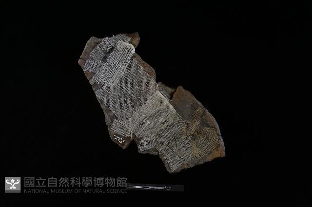 陶罐藏品圖，第2張