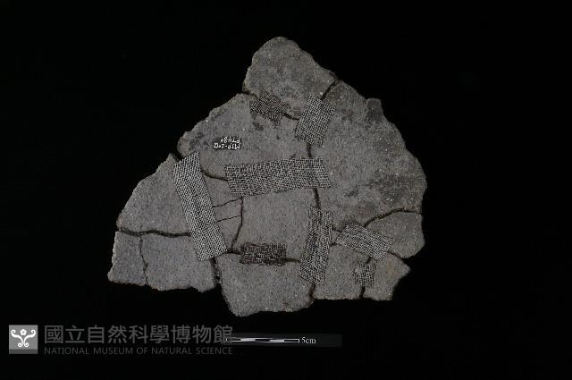 陶片藏品圖，第1張