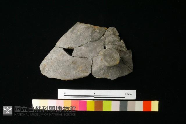 陶蓋藏品圖，第3張