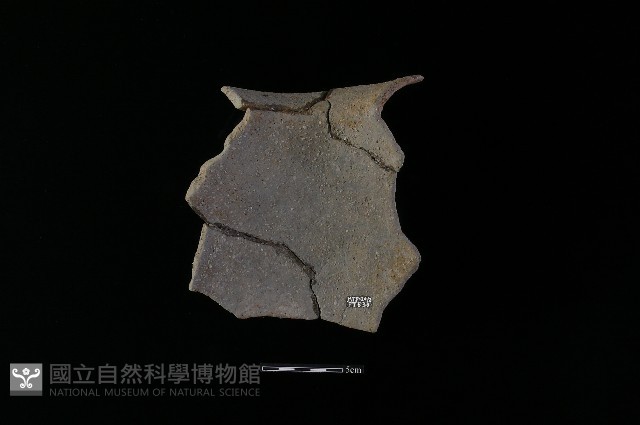 陶罐藏品圖，第1張