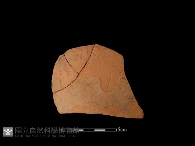 連杯形器藏品圖，第2張