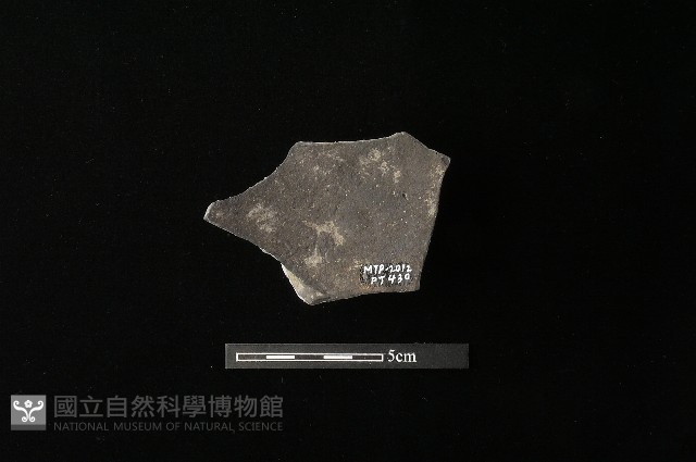 陶蓋鈕藏品圖，第1張