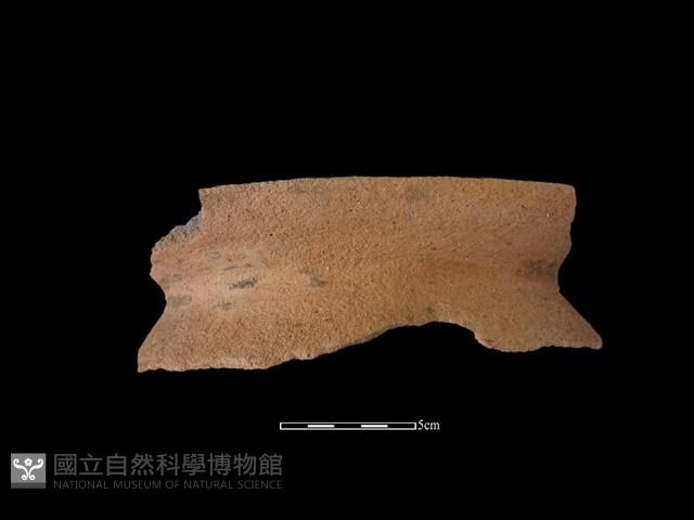 陶罐藏品圖，第2張