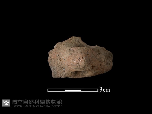 陶鈕藏品圖，第1張