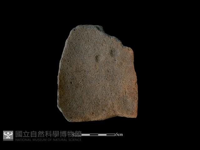 陶缽藏品圖，第1張