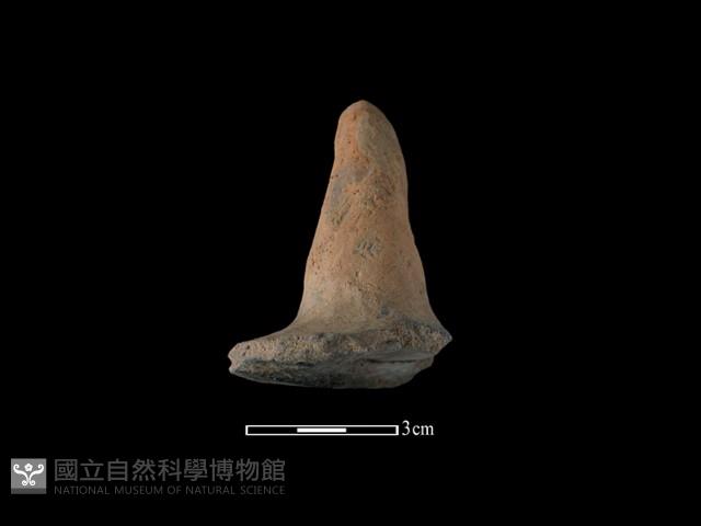 陶蓋鈕藏品圖，第2張