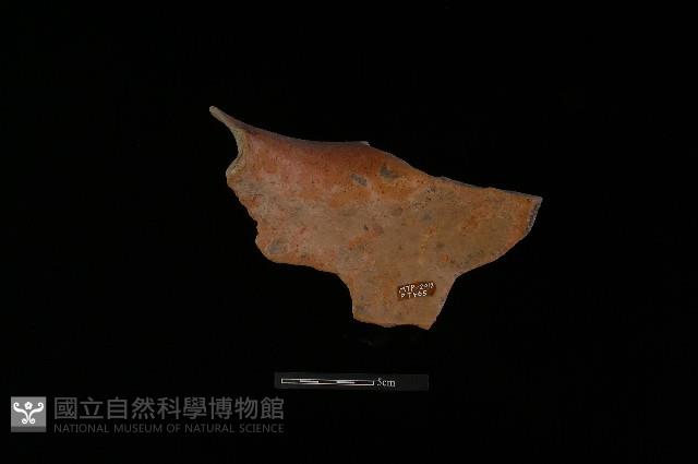 陶罐藏品圖，第3張