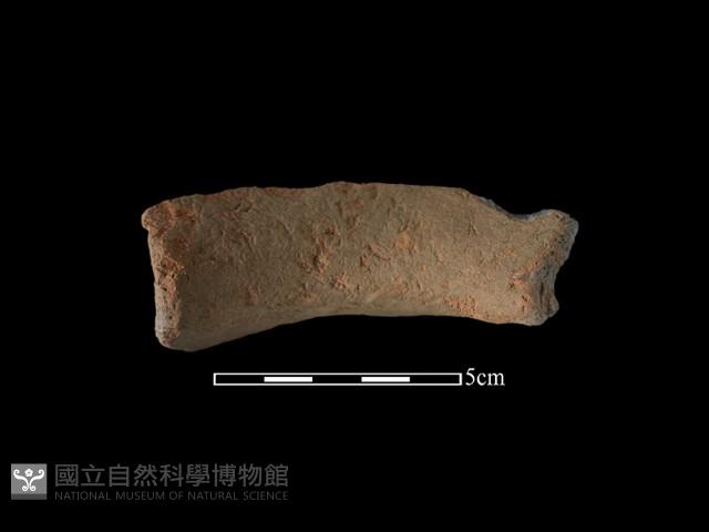 陶罐藏品圖，第2張