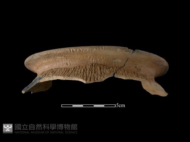 陶罐藏品圖，第2張