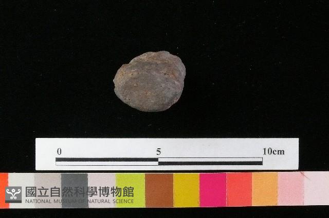 陶蓋藏品圖，第1張