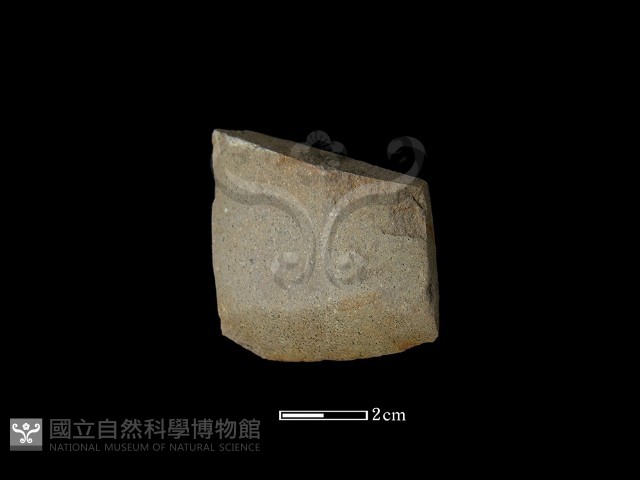 錛鑿形器藏品圖，第2張