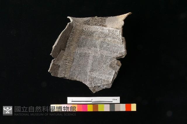 陶罐藏品圖，第2張