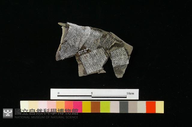 陶罐藏品圖，第2張