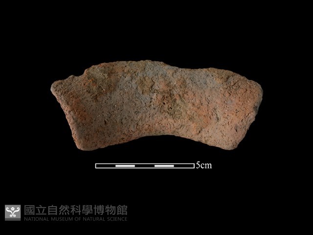 陶罐藏品圖，第1張