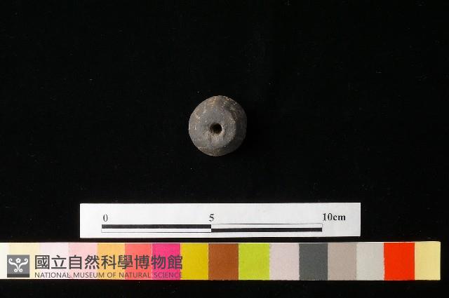 紡輪藏品圖，第1張