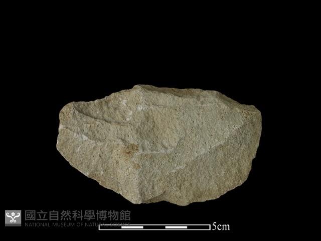 石片器藏品圖，第2張