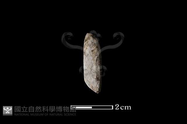 錛鑿形器藏品圖，第2張