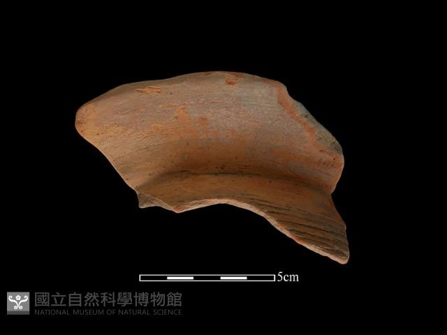 連杯形器藏品圖，第2張