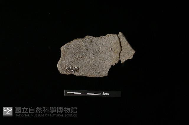 陶片藏品圖，第2張