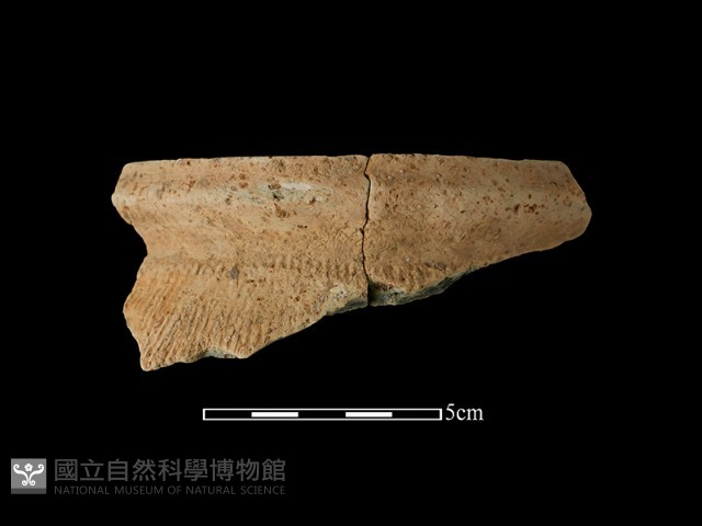 陶罐藏品圖，第2張