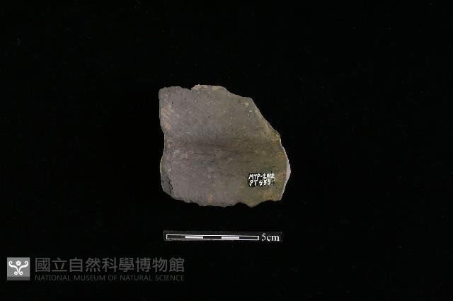 陶罐藏品圖，第2張