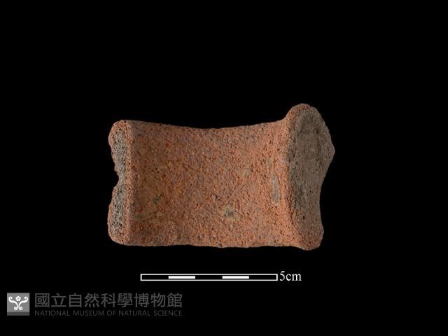 陶把藏品圖，第1張