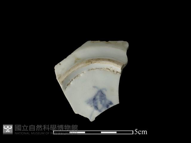 Accession Number:TCCC-2013-0245 Collection Image, Figure 2, Total 2 Figures