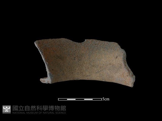 陶罐藏品圖，第1張