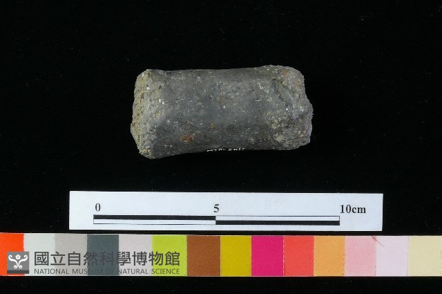 獸足藏品圖，第1張