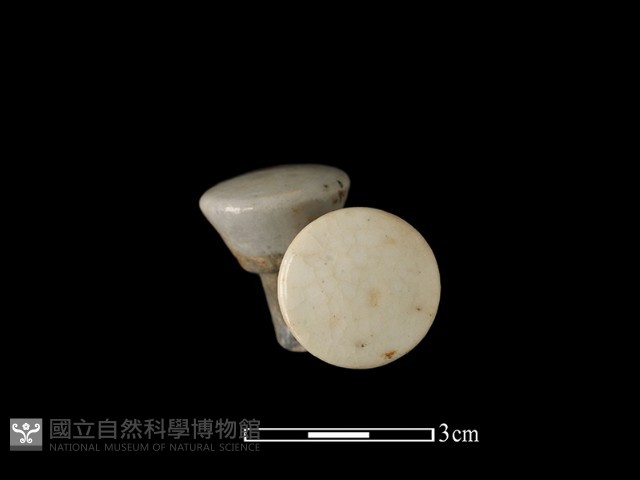 瓶塞藏品圖，第2張