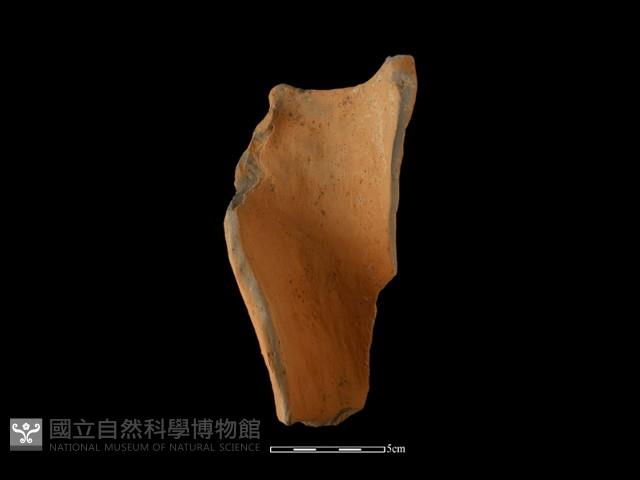 Accession Number:NSKII-2017-345 Collection Image, Figure 1, Total 2 Figures