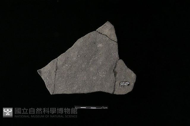 陶片藏品圖，第1張