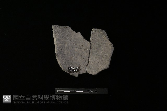 陶片藏品圖，第1張