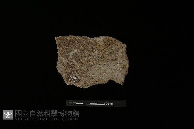陶片藏品圖，第1張