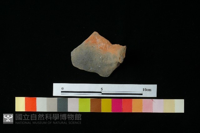 陶蓋藏品圖，第1張