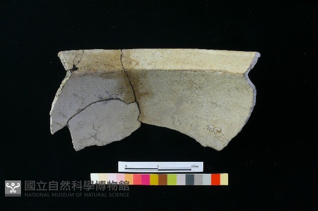 陶罐藏品圖，第3張