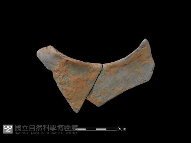 連杯形器藏品圖，第1張