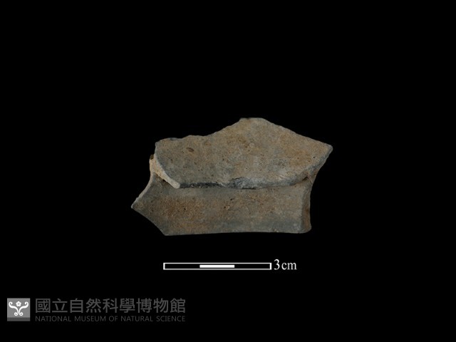 陶片藏品圖，第2張