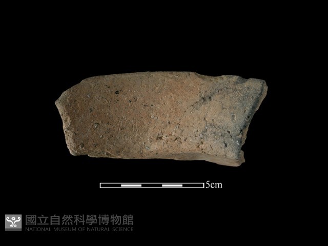 陶罐藏品圖，第1張