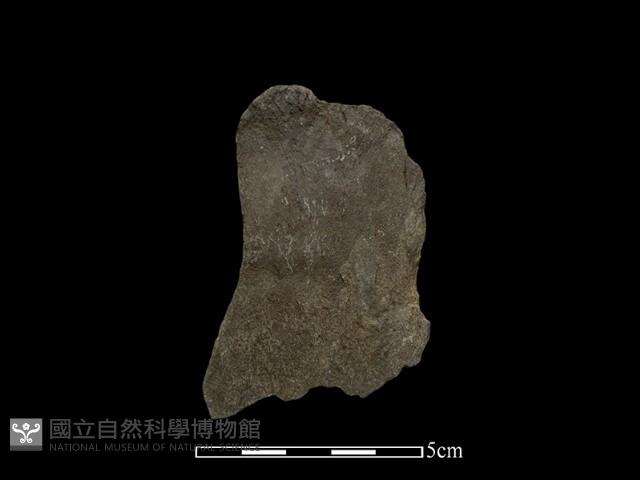 斧鋤形器藏品圖，第2張